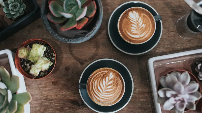 Foamy latte cups
