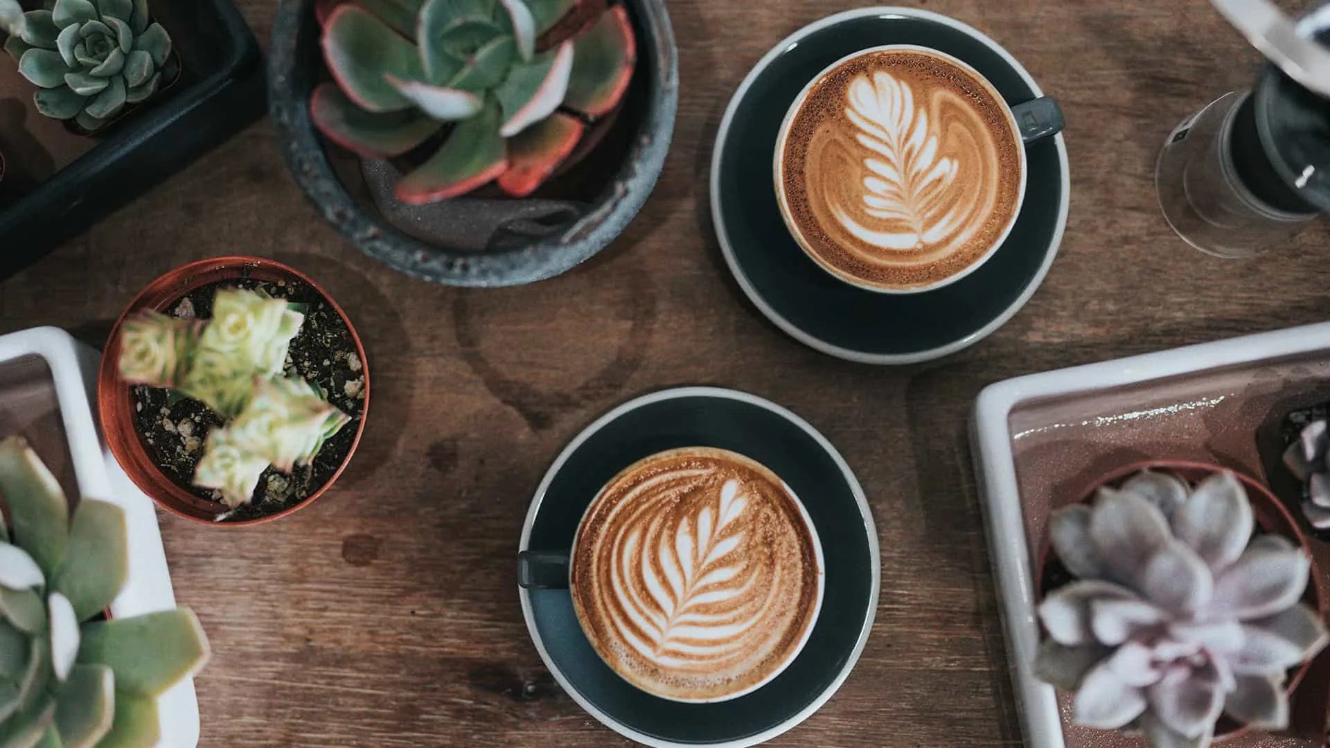 Foamy latte cups