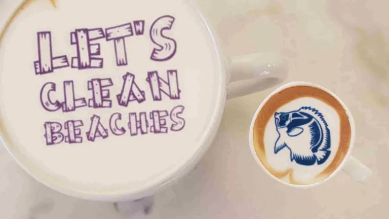 coffee cup saying 'let's clean beaches' in ripples print